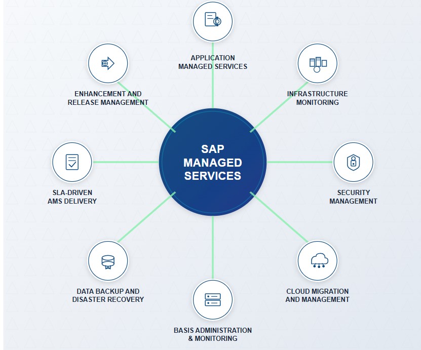 sap-managed-service