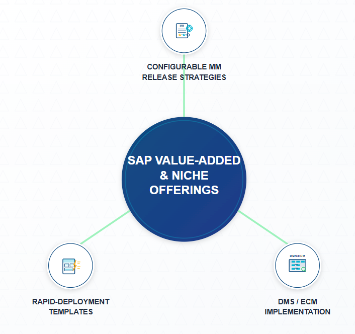 SAP Value Added & Niche Offerings